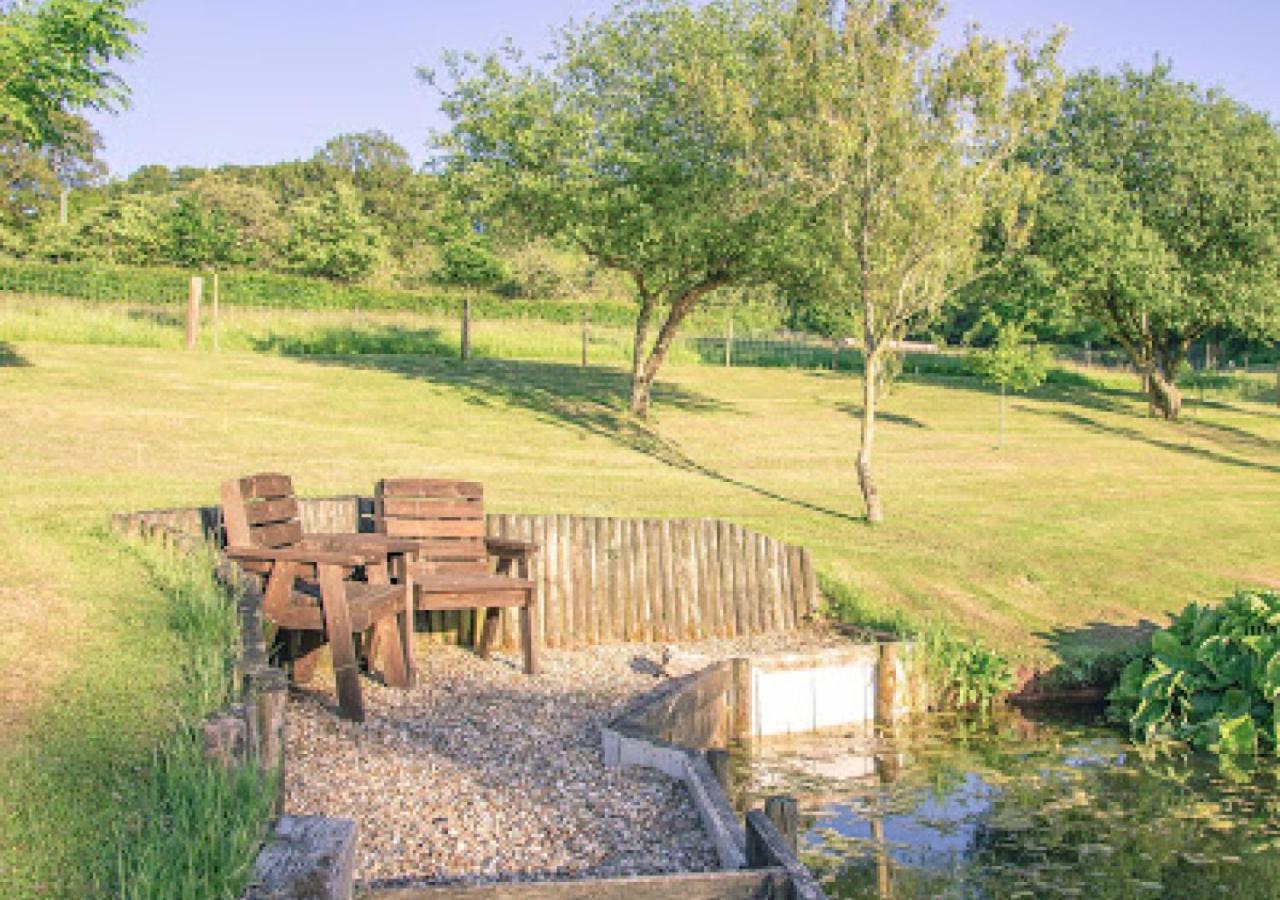 Villa Defoes View à Honiton Extérieur photo